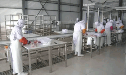 肉禽类加工厂供应链管理